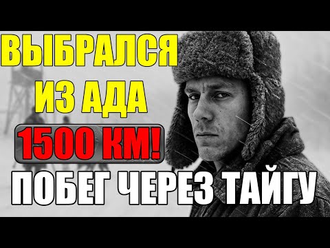 Видео: ПОБЕГ ИЗ АДА:  1500 км ПО ТАЙГЕ  | Архивы СССР