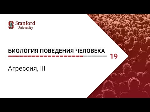 Видео: Биология поведения человека: Лекция #19. Агрессия, III [Роберт Сапольски, 2010. Стэнфорд]