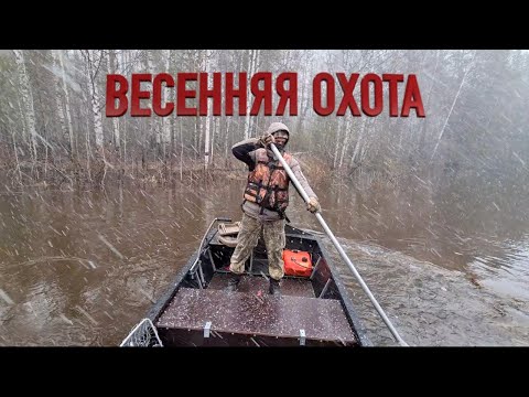 Видео: ВЕСЕННЯЯ ОХОТА НА УТКУ | ОТДЫХ В ЛЕСУ