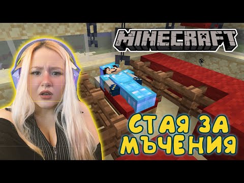 Видео: СТАЯ НА УДОВОЛСТВИЯТА?