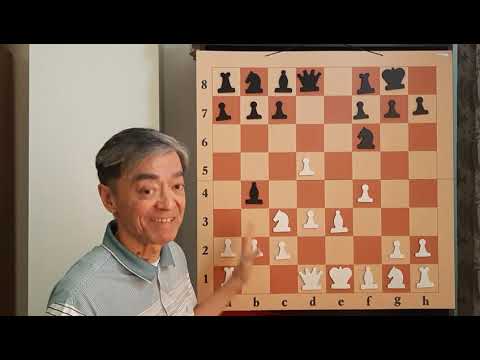 Видео: 1)   Королевский гамбит.Шультен-Морфи.0-1.Связка.