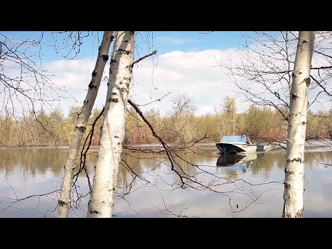 Видео: Лучший выпуск "Хозяева тайги". 2016 год.