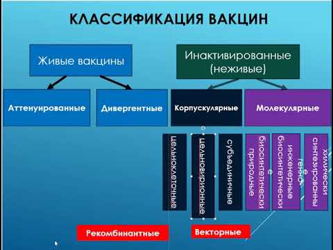 Видео: Фундаментальные основы вакцинации