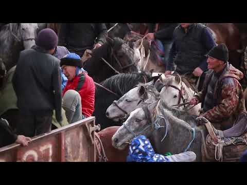 Видео: АЛАМАН УЛАК АЛАЙ.КАБЫЛАН-КӨЛ