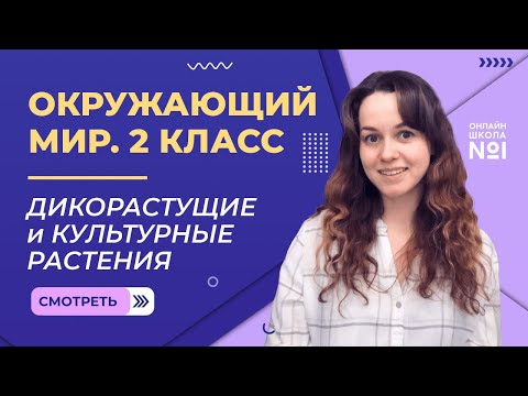 Видео: Видеоурок 13. Дикорастущие и культурные растения. Окружающий мир 2 класс