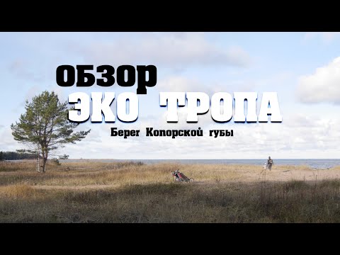 Видео: Могло быть лучше!| Берег Копорской губы #экотропа #кудапойти