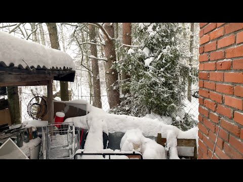 Видео: Финальная сдача макулатуры в уходящем году. Последний (не крайний!) раз сдаю картон