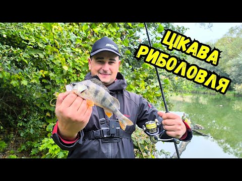Видео: ЯК КЛЮЄ ХИЖАК НА РІЧЦІ ПІВДЕННИЙ БУГ?