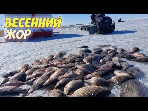 Видео: ЩЕДРЫЙ ВЕСЕННЫЙ ЛЁД!!! КУЧА РЫБЫ! АКТИВНЫЙ ВЕСЕННЫЙ КЛЕВ КАРАСЯ  РЫБАЛКА С НОЧЕВКОЙ