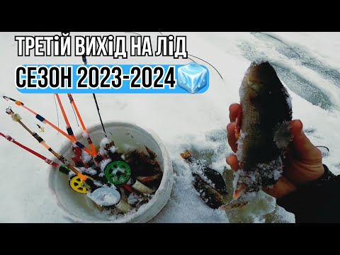 Видео: Шукаємо окуня по першому льоду...Ловля окуня на мормишку з мотилем