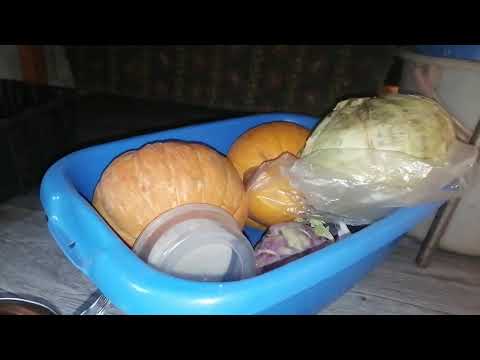 Видео: деревня,