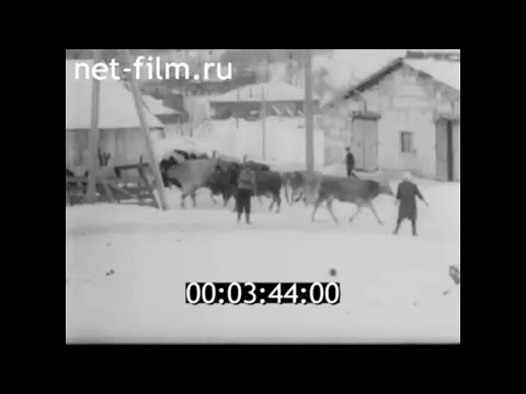Видео: 1993г. совхоз Стародворский. Владимирская обл