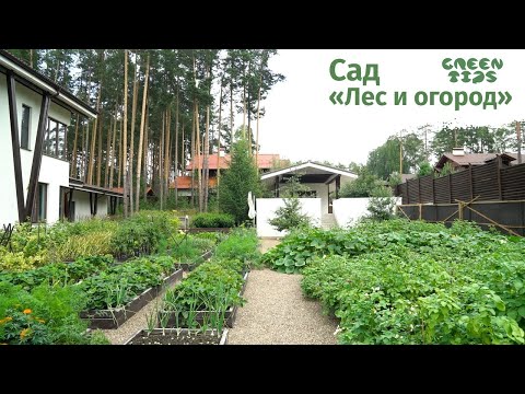 Видео: 🌿 Сад «Лес и огород»