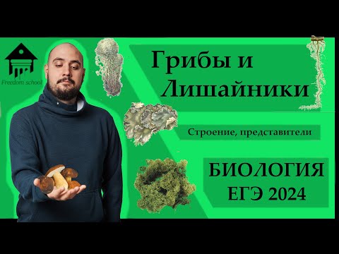 Видео: ГРИБЫ и ЛИШАЙНИКИ для ЕГЭ 2024 |ЕГЭ БИОЛОГИЯ|Freedom|