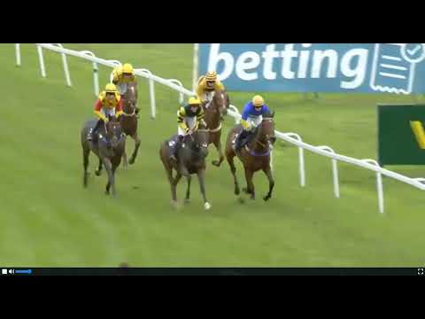 Видео: 1533 Седжфилд -19 ОКТ 25