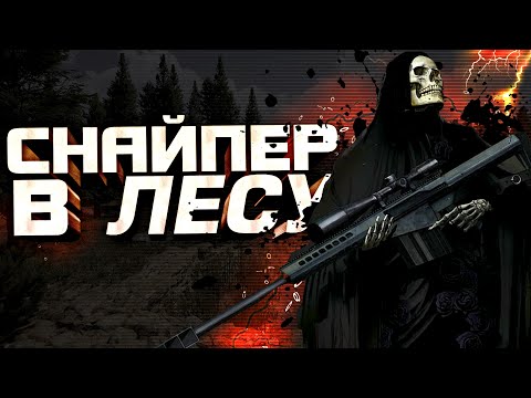 Видео: СНАЙПЕР В ЛЕСУ В Arena Breakout Infinite