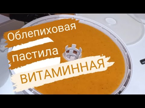 Видео: Самая полезная пастила для нашего иммунитета в зимний период. Витаминная пастила. Часть 1.