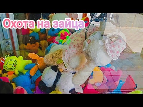 Видео: Играем в хватайку и выигрываем