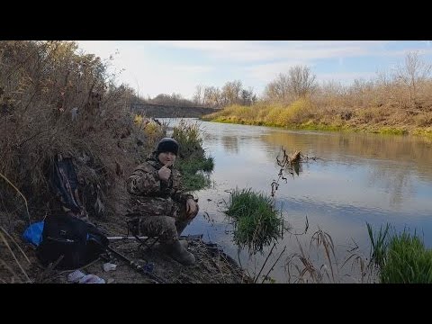 Видео: РЫБАЛКА ОСЕНЬЮ НА ПОПЛАВОК. Ловля голавля поздней осенью на реке.