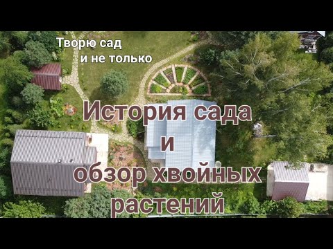 Видео: Творю сад. Первое видео о моём саде в Подмосковье.