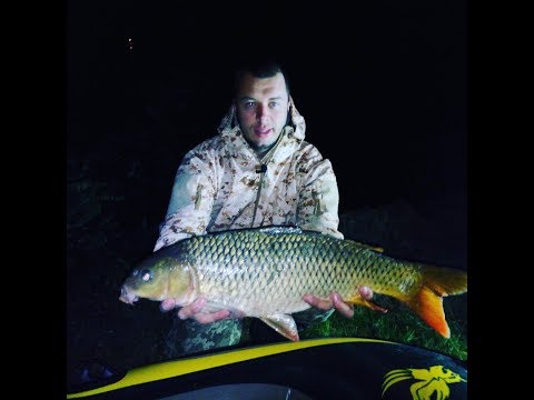 Видео: Рыбалка Ладыжинское вднх, р. Южный Буг с. Степашки, база Gol&Wood