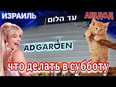 Видео: Магазины/Покупки/Цены/Торговый центр Ад Алом/Интересная встреча/Суббота/Ашдод/Израиль