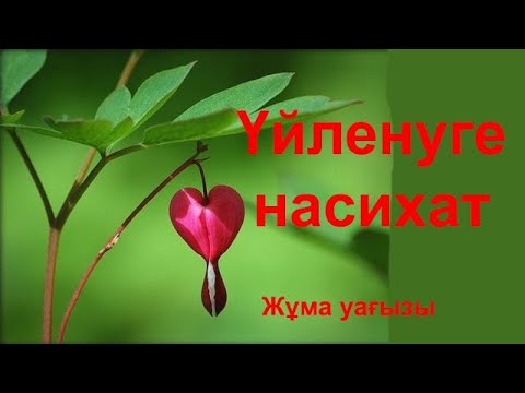 Видео: Үйленуге насихат / Жұма уағызы / Асыл арна