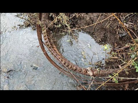 Видео: За золотом к Пчёлам
