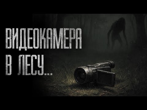 Видео: ГУЛЯЛ В ЛЕСУ И НАШЁЛ ВИДЕОКАМЕРУ... ЛУЧШЕ БЫ Я ЕЁ НЕ СМОТРЕЛ... Страшные истории на ночь