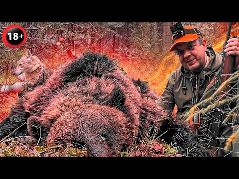 Видео: ОДИН в ТАЙГЕ: ДОБЫЛ МЕДВЕДЯ с ЛАЙКАМИ.