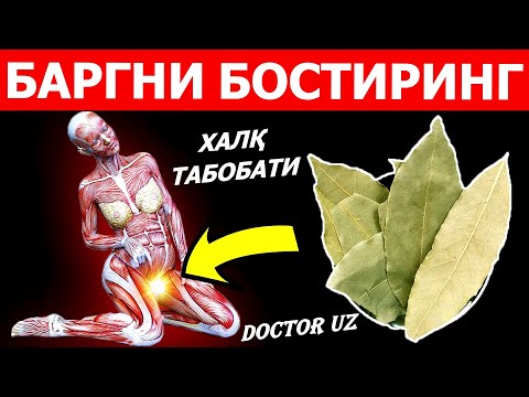 Видео: ЛАВР БАРГИ ХАҚИДА 99% АЁЛЛАР БИЛМАЙДИ! АГАР БИЛСАА.....