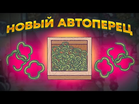 Видео: ХпОп. КУПИЛИ НОВЫЙ АВТОУКЛАДЧИК!