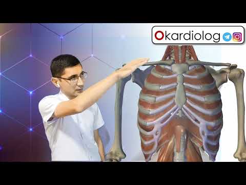 Видео: Юрак тушиши, юракнинг қоринда уриши, юрак солувчилар? Кардиолог жавоби