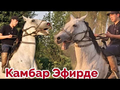 Видео: 26 июня 2024 г.