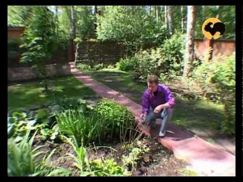 Видео: Сад после зимы. Ландшафтные хитрости 10