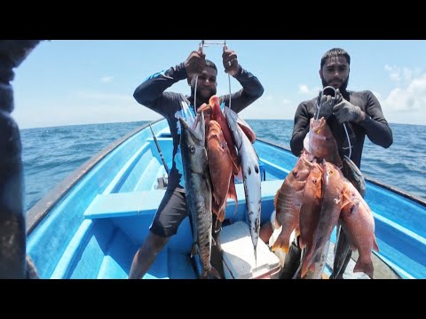 Видео: Рыба-монстр на | Чартеры-монстры | на восточном побережье | #Тринидад