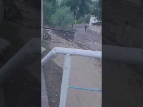 Видео: Сел Офати табиӣ. Негнот