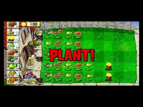 Видео: 22 сентября 2025 г.