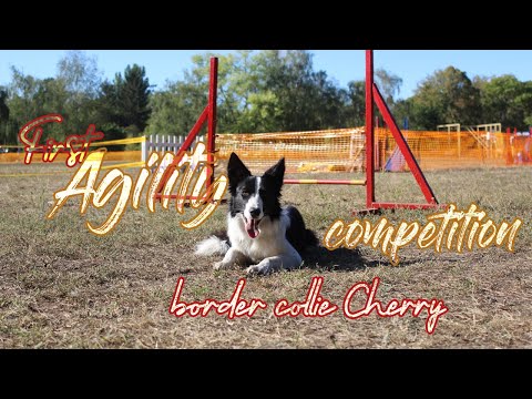 Видео: Первый старт Черри на СОРЕВНОВАНИЯХ С АДЖИЛИТИ