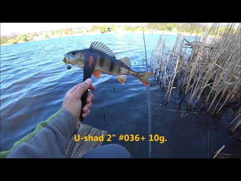 Видео: Fishup Catfish 2" приманка, которую хотят все попробовать...На рыбалке с Fishup #02.05.2018