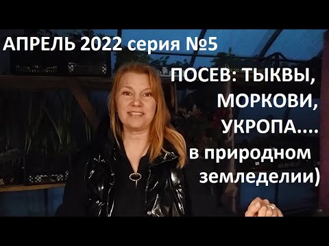 Видео: Апрель 2022 серия №5. Посев тыквы, моркови, укропа в природном земледелии.