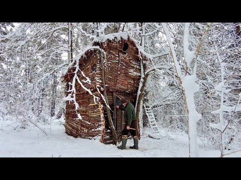 Видео: 365 дней в домике на дереве в диком лесу