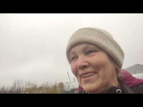 Видео: Першорічка фріго, що я робитиму далі? 