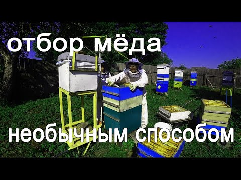 Видео: Отбор мёда необычным способом перед гл.  взятком