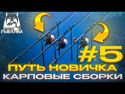 Видео: ПУТЬ НОВИЧКА #5 | КАРПОВЫЕ СБОРКИ | РУССКАЯ РЫБАЛКА 4