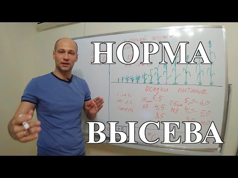 Видео: Норма высева