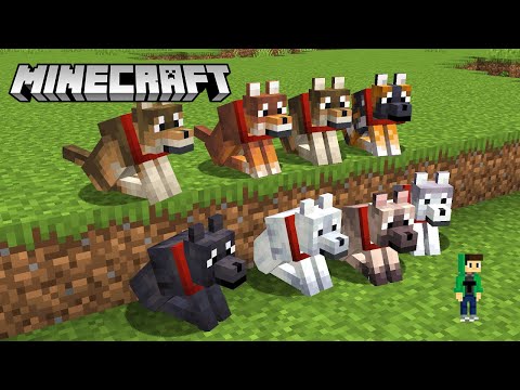 Видео: Minecraft дээр шинэ нохойнууд нэмэгдсэн гэнээ!