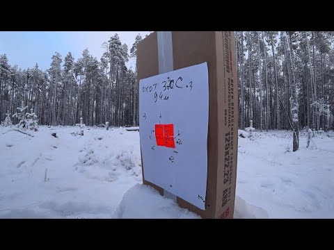 Видео: ОХОТНИК 370С,  22 LR калибра. Стреляю с 94 и100 м.  Доволен ли я стрельбой?