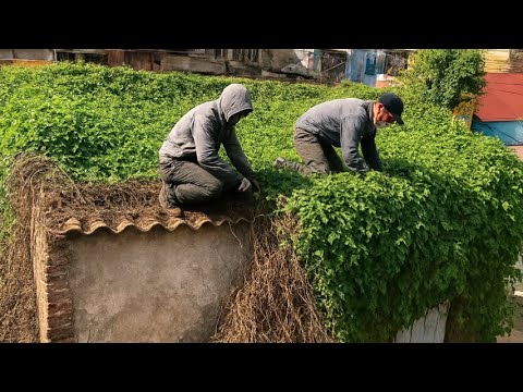 Видео: Заброшенный дом, покрытый плющом, и последствия катастрофы — Спасение заброшенного дома