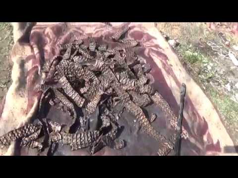 Видео: Сдал  латунный радиатор!!!